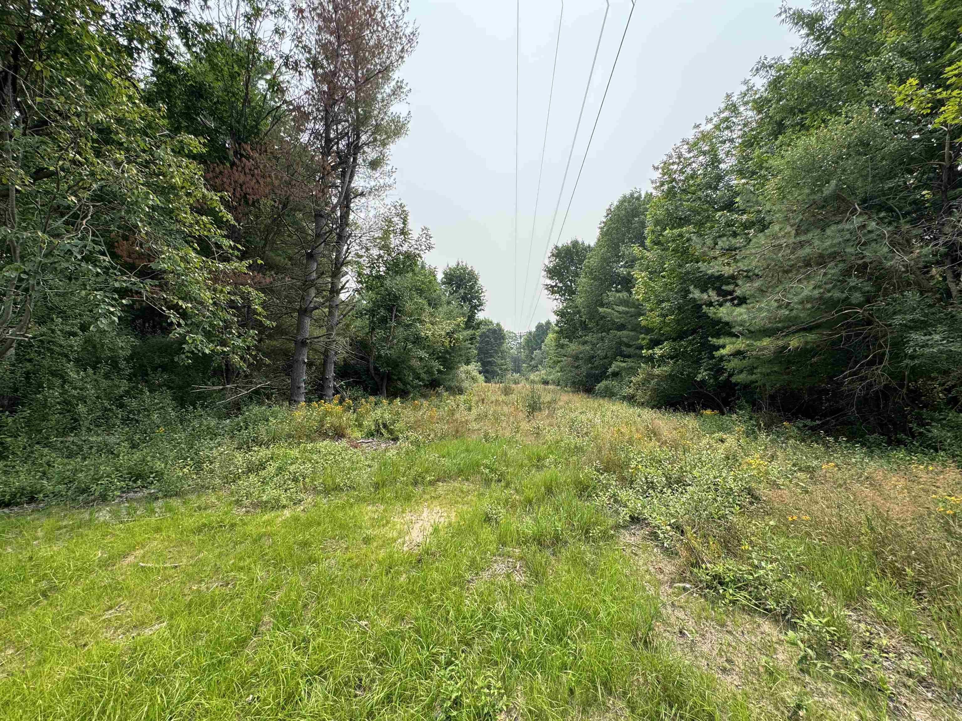 Lot #2 East Bellinger Road, Unit BELLINGER ESTATES Cedar, MI 49621 - Photo 13 of 19