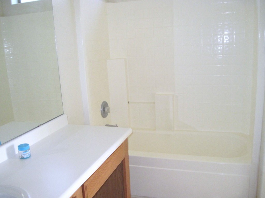 3782 South Bowman Road Apache Junction, AZ 85119 - Photo 7 of 10 Master Bath