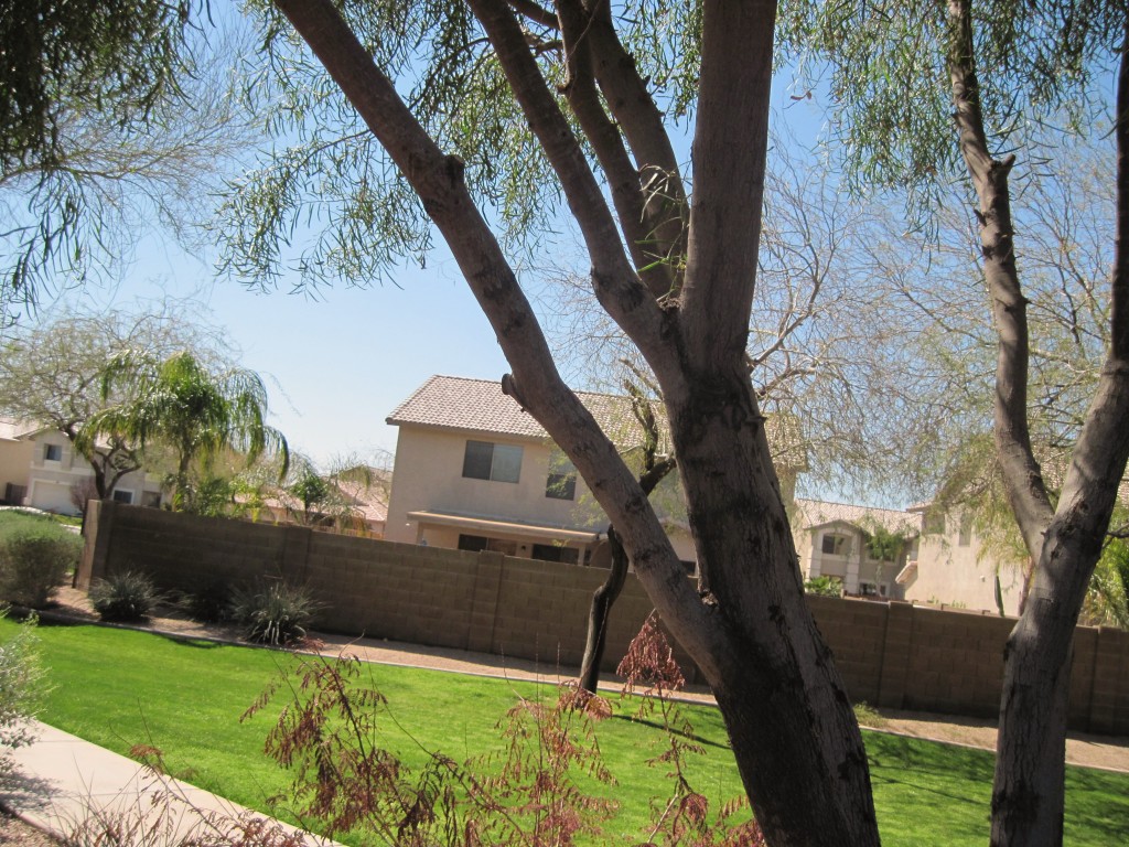 3782 South Bowman Road Apache Junction, AZ 85119 - Photo 10 of 10 Backs to Greenbelt
