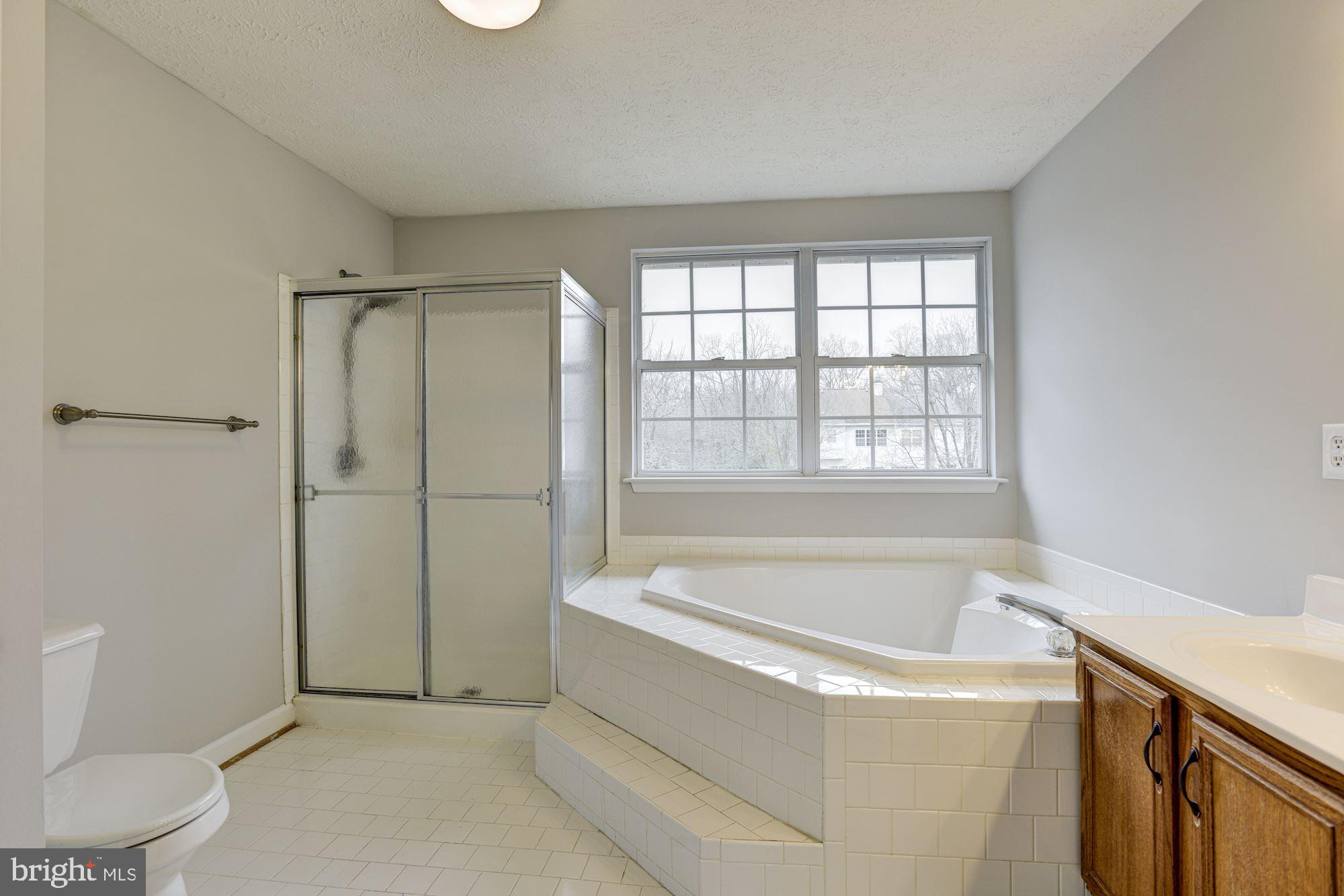 3227 Breckenridge Way Riva, MD 21140 - Photo 18 of 45 Primary Bath