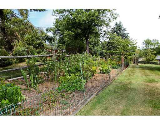 118 Ridgeview Drive Venetia, PA 15367 - Photo 14 of 15 Yard/Garden. Blueberries, tomatoes, flowers, and bushes....