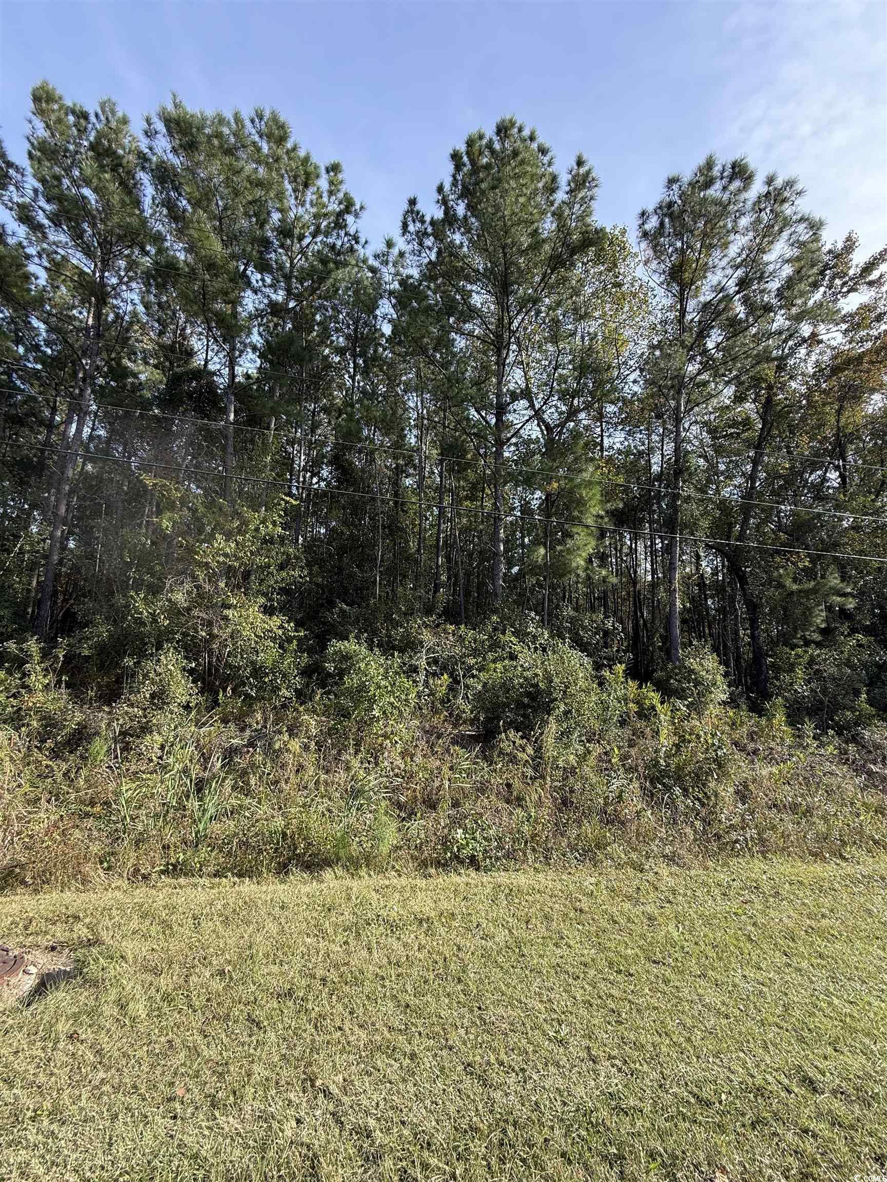 Tbd Old Charleston Road Georgetown, SC 29440 - Photo 2 of 4 Gallery Image 2