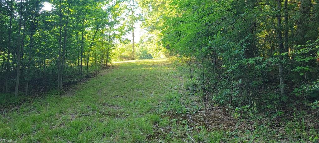 217 Cedar Ridge Road Randleman, NC 27317 - Photo 5 of 18 Walkway