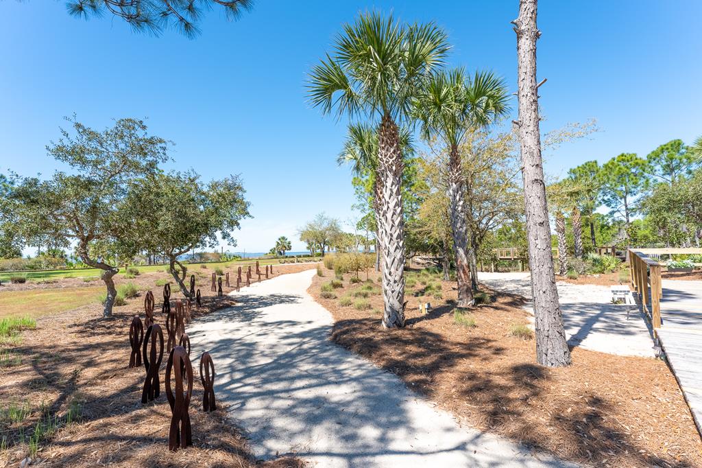 803 Backwater Road Port St. Joe, FL 32456 - Photo 4 of 59