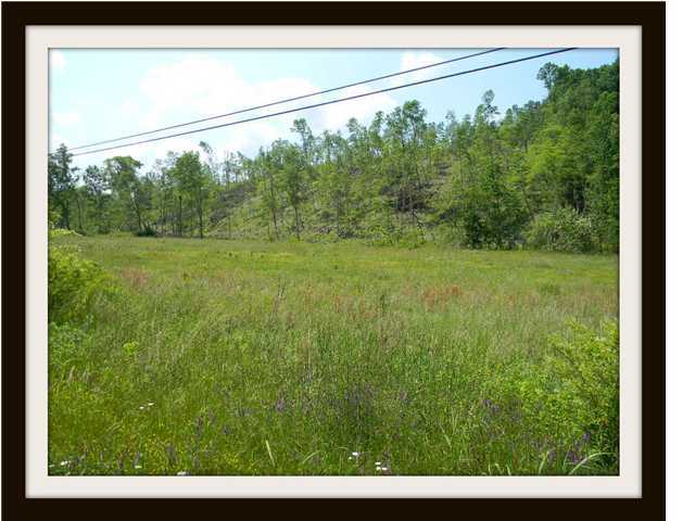 6500 Grasshopper Road Birchwood, TN 37308 - Photo 2 of 4 Additional Photo