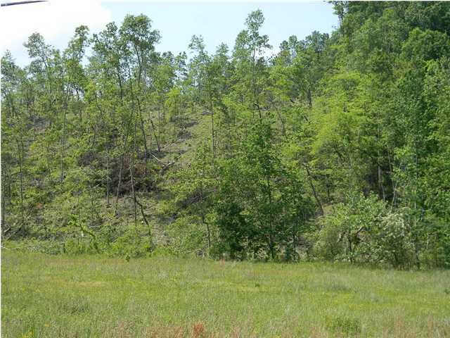 6500 Grasshopper Road Birchwood, TN 37308 - Photo 3 of 4 Additional Photo