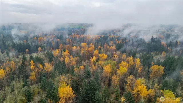 a view of a green field