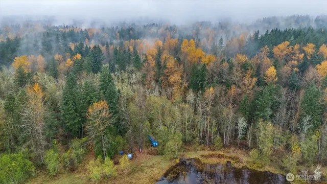 a view of a yard with trees