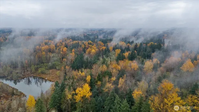 $425,000 | 10918 288th Street East, Graham, WA 98338