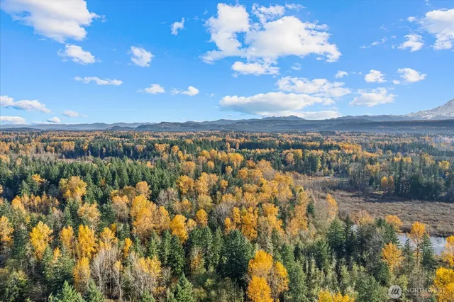 a view of a lake with a mountain in the background