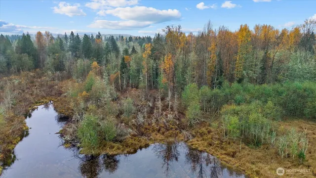a view of a lot of trees and houses from a lake