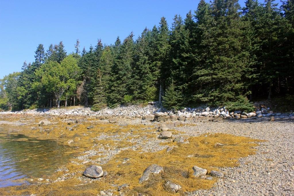 174 Dow Road Deer Isle, ME 04627 - Photo 14 of 21 Photo