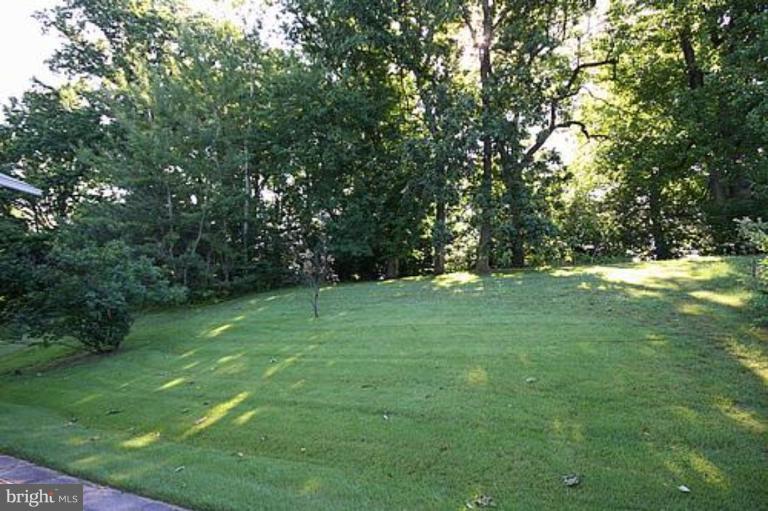 12707 Barbara Road Silver Spring, MD 20906 - Photo 20 of 21 a view of outdoor space with green field and trees all around