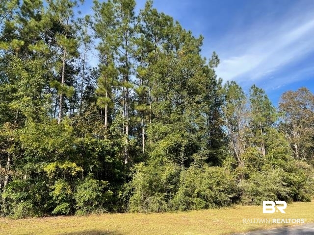 14874 Cayden Circle Stapleton, AL 36578 - Photo 1 of 1