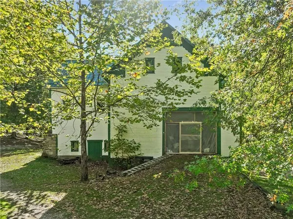 a view of yard with trees