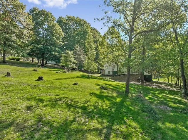 a big yard with lots of green space and trees