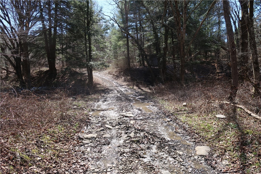 5156 Carr Road Willet, NY 13863 - Photo 14 of 50