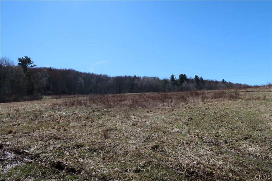 5156 Carr Road Willet, NY 13863 - Photo 15 of 50