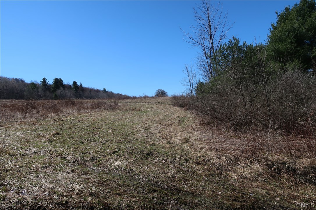5156 Carr Road Willet, NY 13863 - Photo 16 of 50
