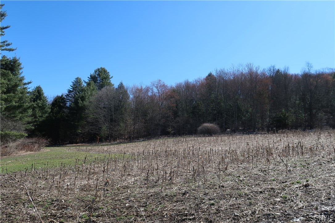 5156 Carr Road Willet, NY 13863 - Photo 17 of 50