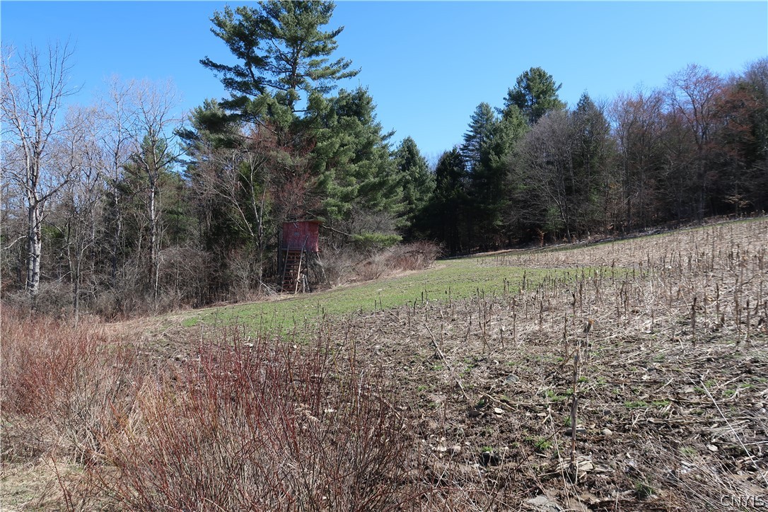 5156 Carr Road Willet, NY 13863 - Photo 18 of 50