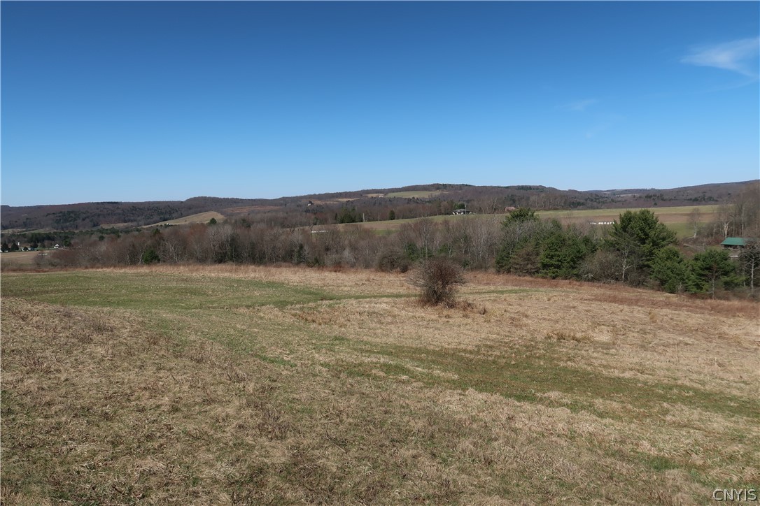 5156 Carr Road Willet, NY 13863 - Photo 20 of 50