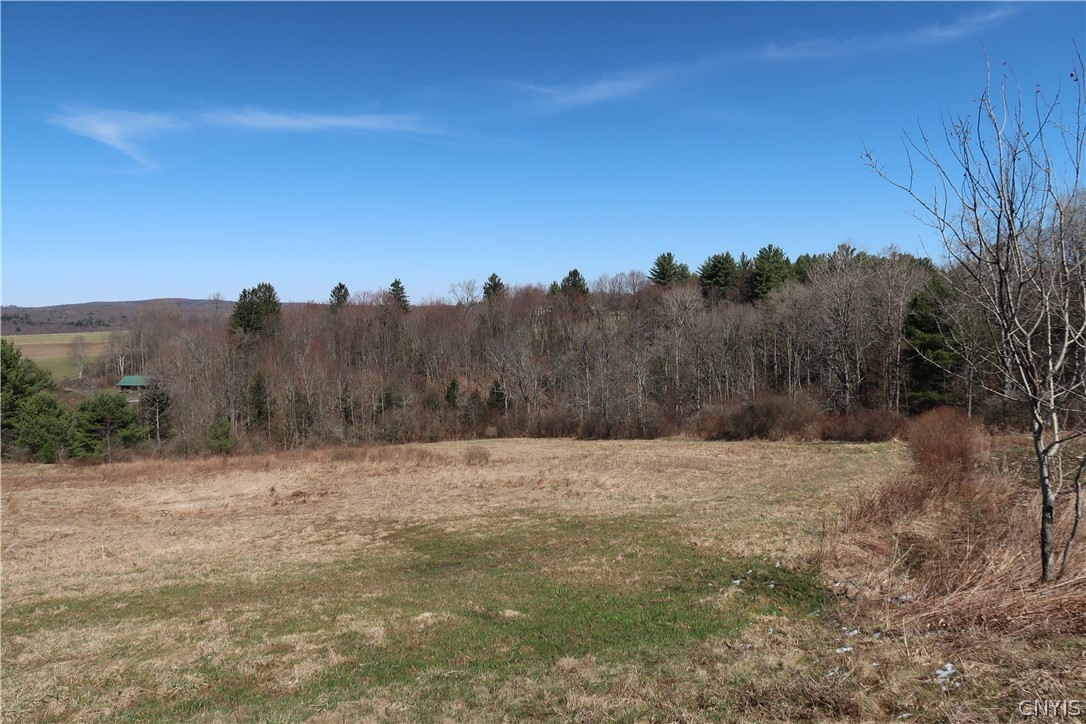 5156 Carr Road Willet, NY 13863 - Photo 21 of 50