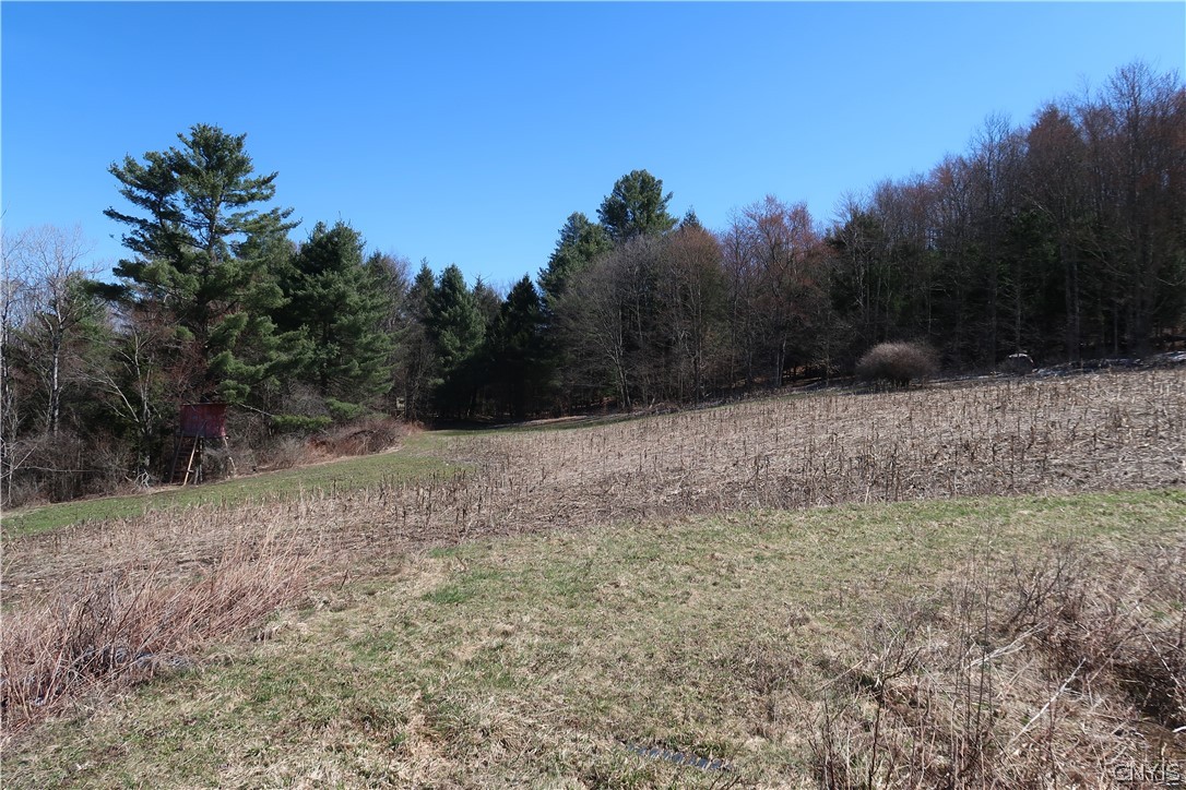 5156 Carr Road Willet, NY 13863 - Photo 22 of 50