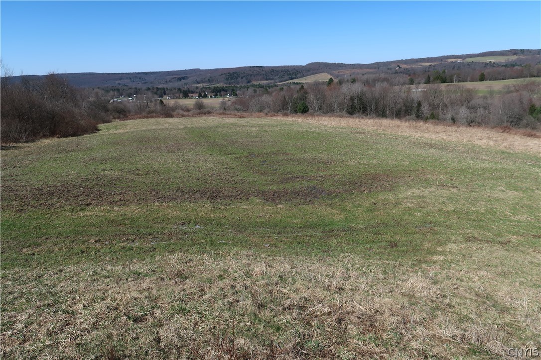 5156 Carr Road Willet, NY 13863 - Photo 23 of 50
