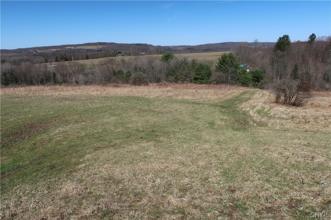 5156 Carr Road Willet, NY 13863 - Photo 24 of 50
