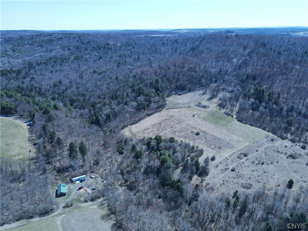5156 Carr Road Willet, NY 13863 - Photo 32 of 50