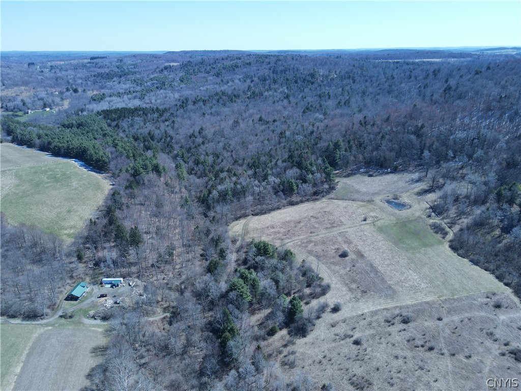 5156 Carr Road Willet, NY 13863 - Photo 34 of 50