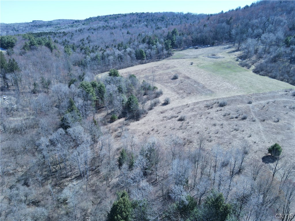 5156 Carr Road Willet, NY 13863 - Photo 35 of 50