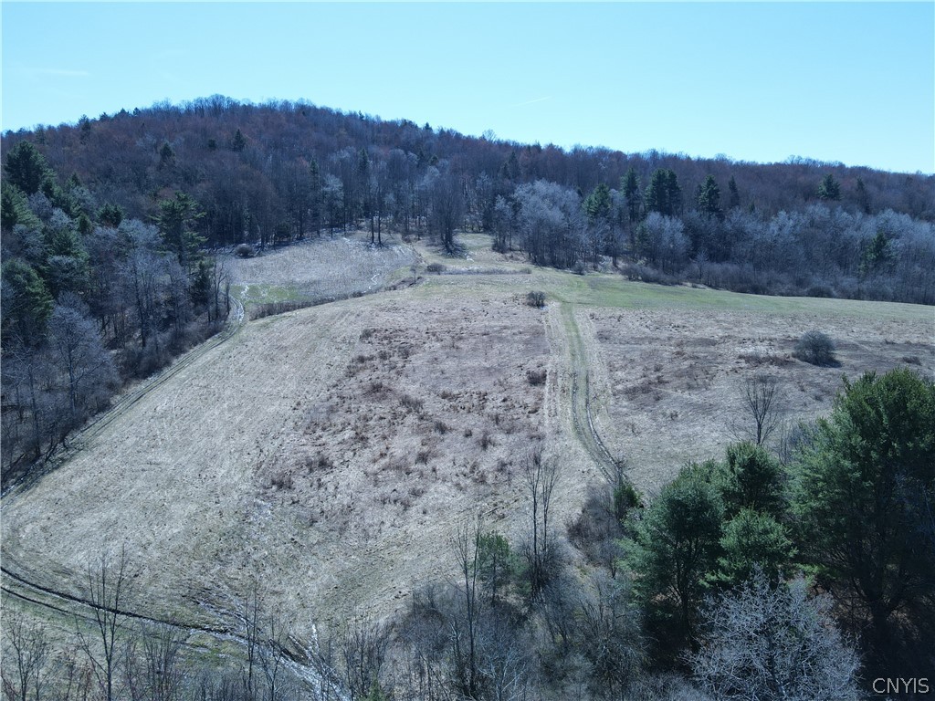 5156 Carr Road Willet, NY 13863 - Photo 36 of 50