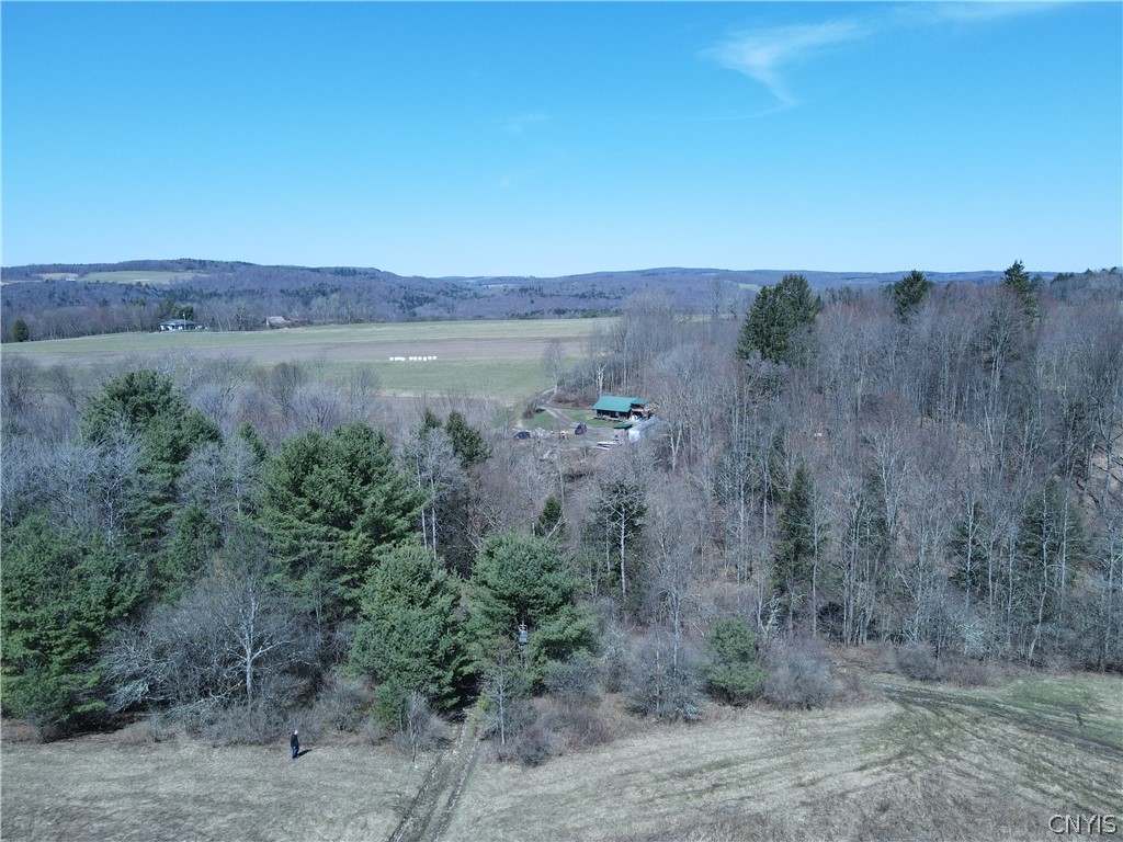 5156 Carr Road Willet, NY 13863 - Photo 37 of 50