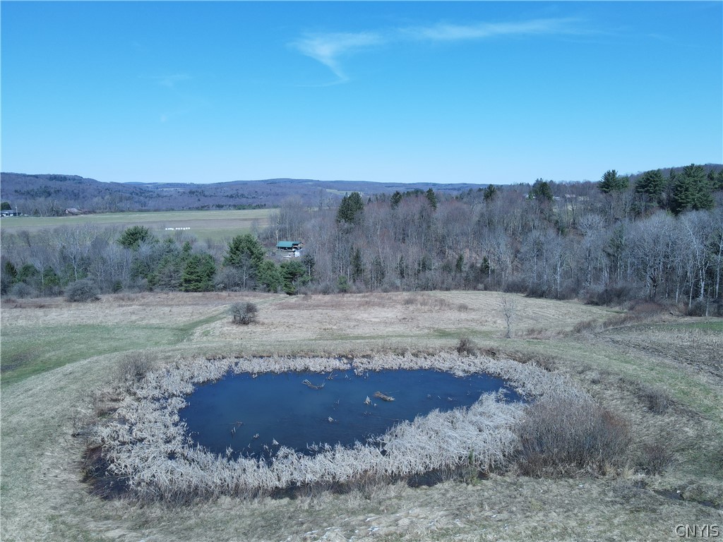 5156 Carr Road Willet, NY 13863 - Photo 38 of 50