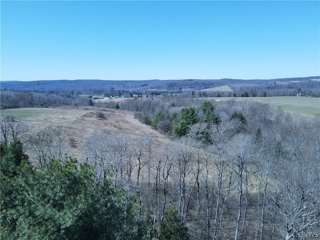 5156 Carr Road Willet, NY 13863 - Photo 40 of 50