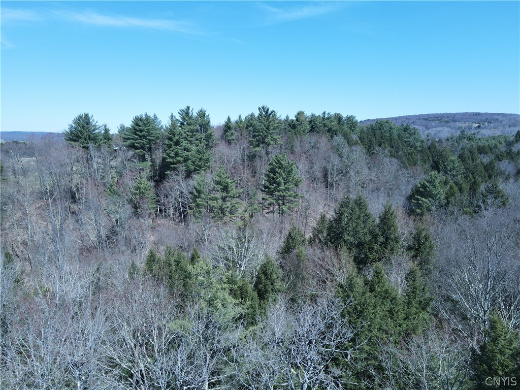 5156 Carr Road Willet, NY 13863 - Photo 41 of 50