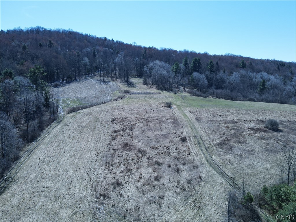 5156 Carr Road Willet, NY 13863 - Photo 42 of 50