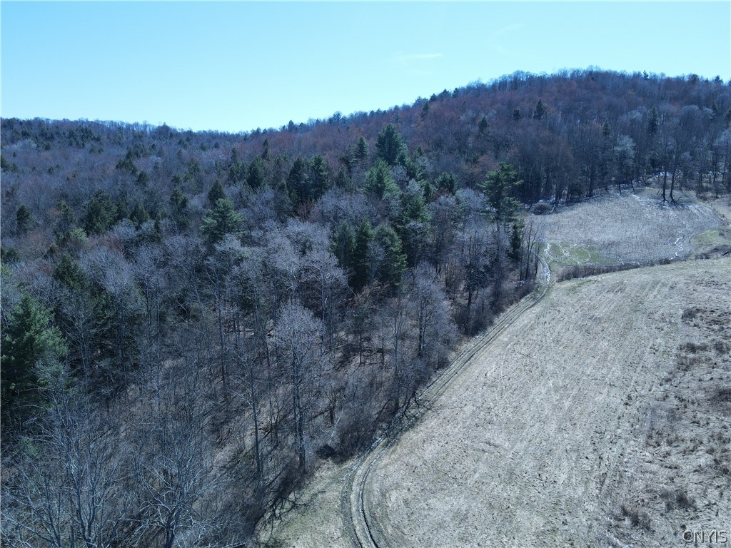 5156 Carr Road Willet, NY 13863 - Photo 43 of 50