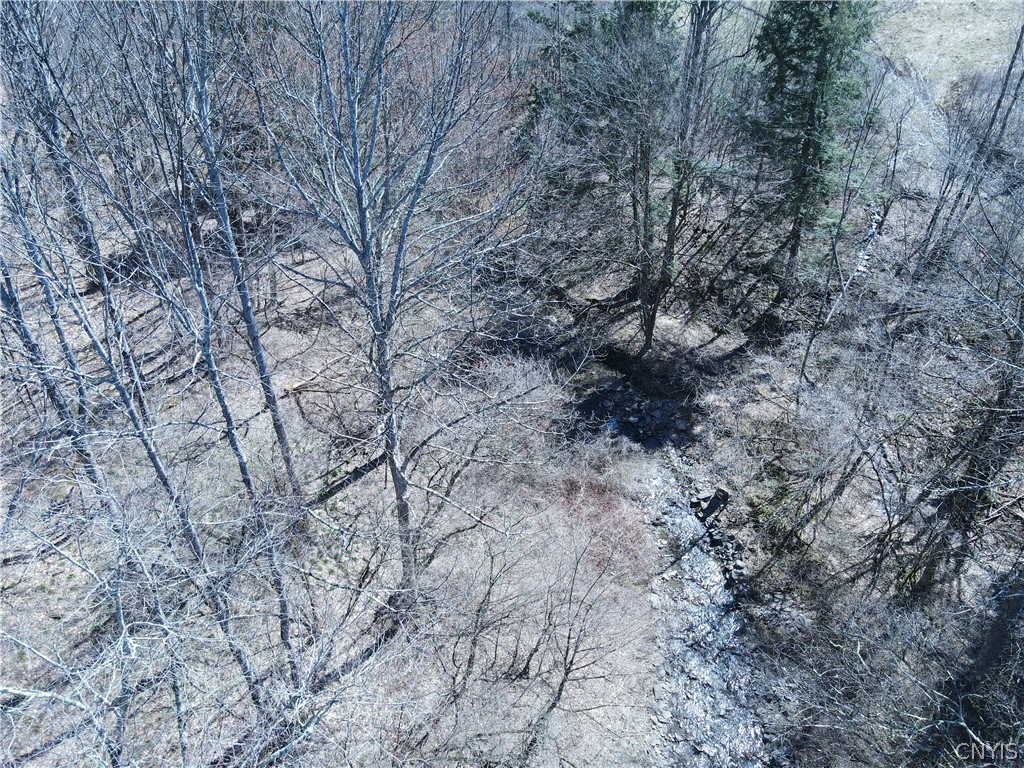 5156 Carr Road Willet, NY 13863 - Photo 45 of 50