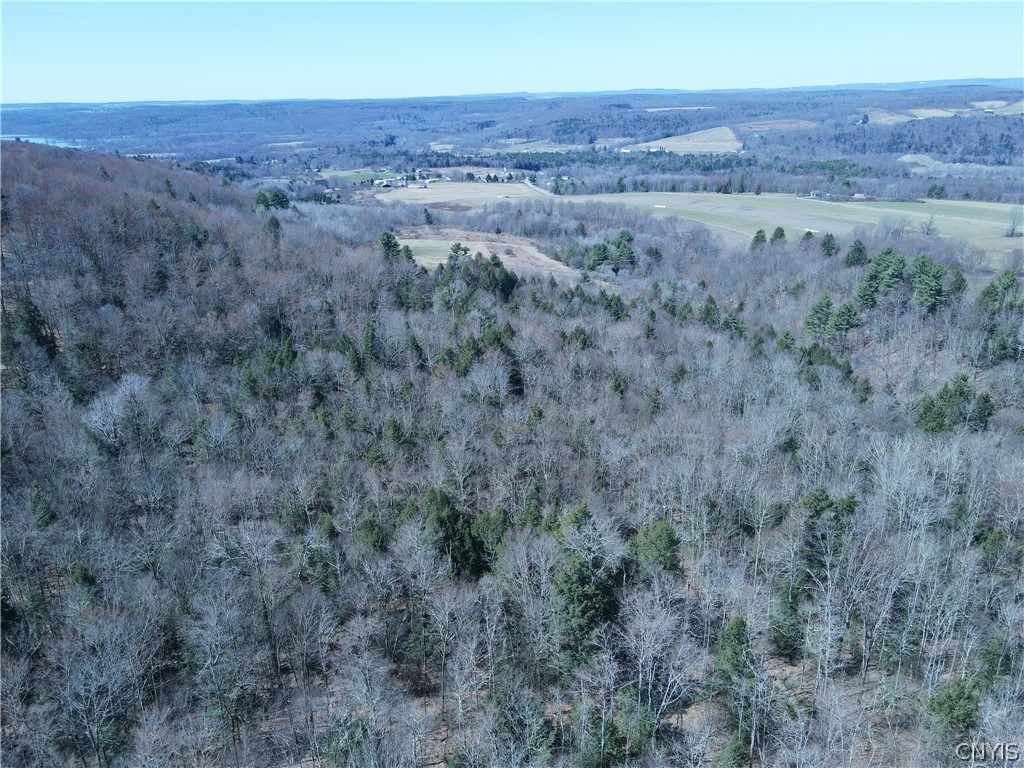 5156 Carr Road Willet, NY 13863 - Photo 47 of 50