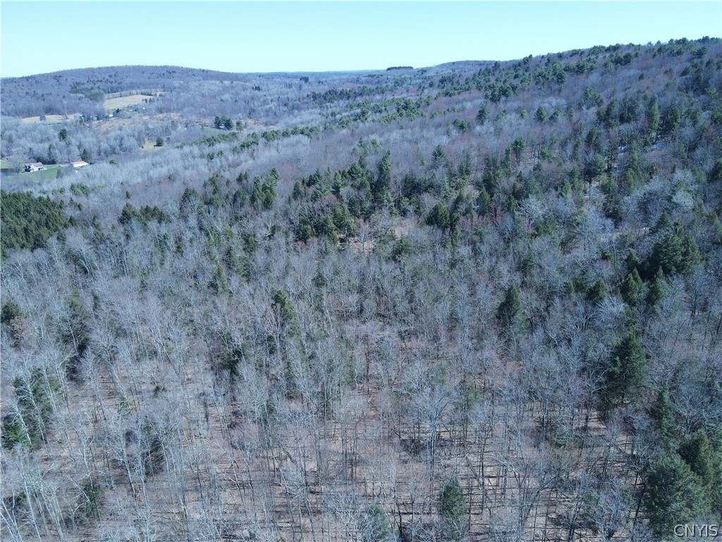 5156 Carr Road Willet, NY 13863 - Photo 49 of 50