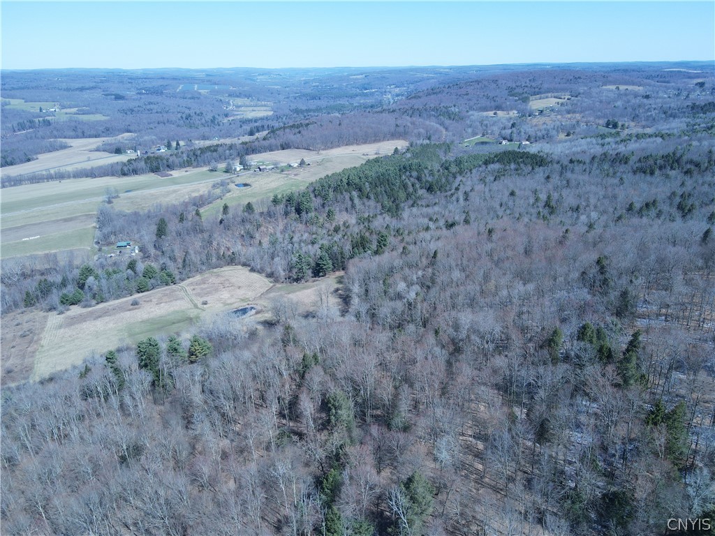 5156 Carr Road Willet, NY 13863 - Photo 50 of 50