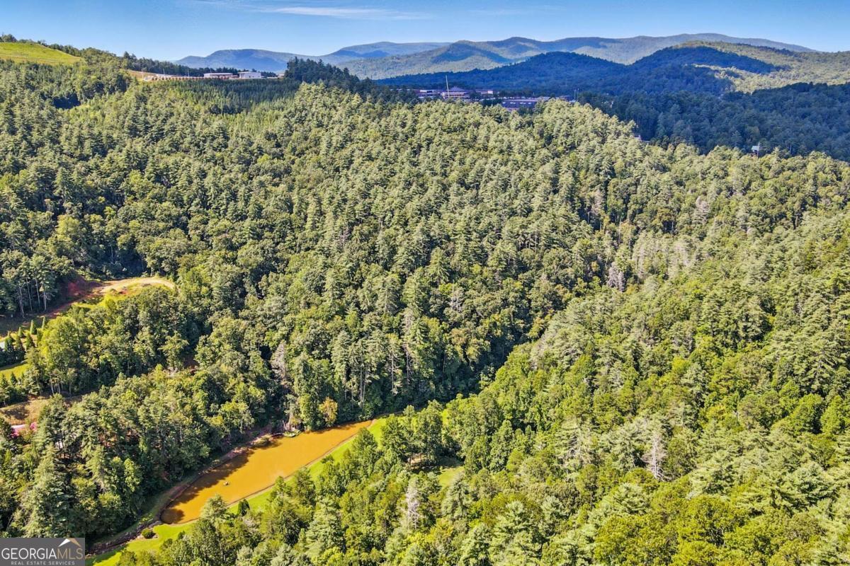 772 Rickman Airfield Road Clayton, GA 30525 - Photo 17 of 64 a view of a lush green field with mountains in the background