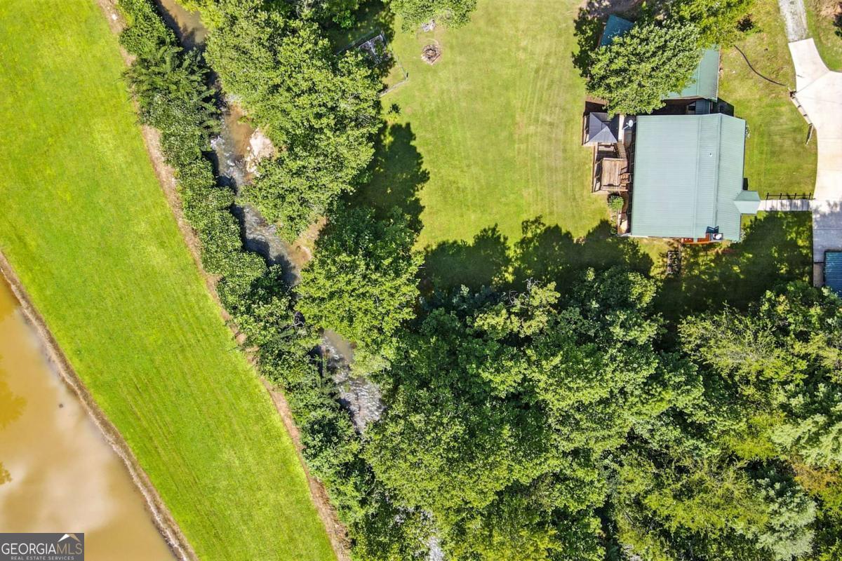 772 Rickman Airfield Road Clayton, GA 30525 - Photo 18 of 64 a view of a yard with plants