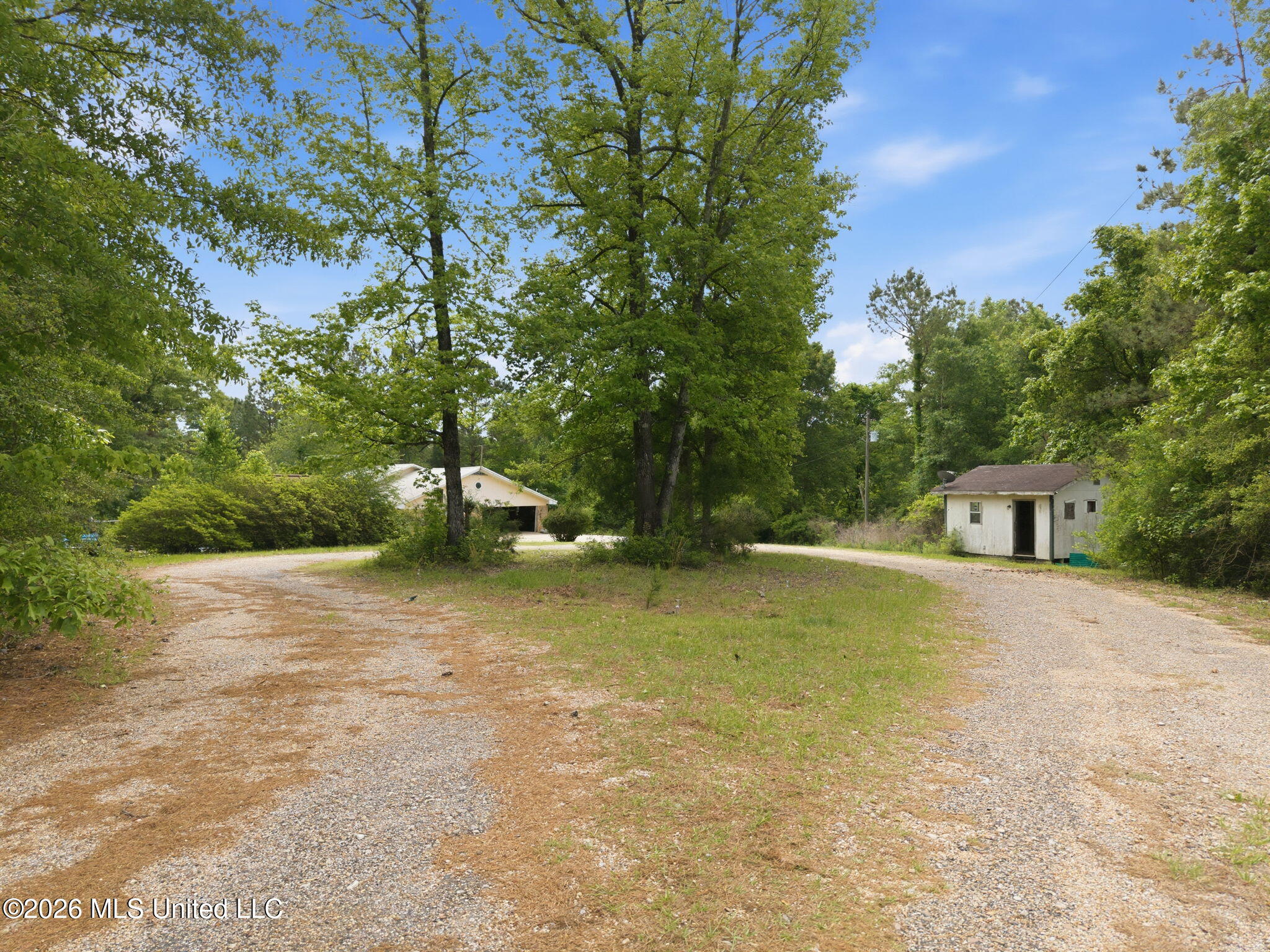 84 Mt Canaan Road Tylertown, MS 39667 - Photo 5 of 37 exterior--driveway