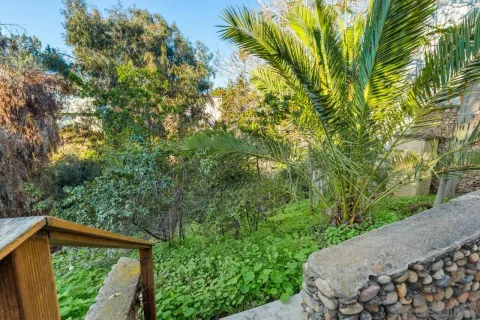 a view of a backyard with plants and large trees