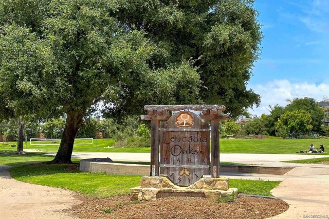 a view of a park with large trees