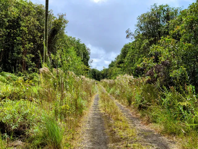 a view of swimming pool from a yard